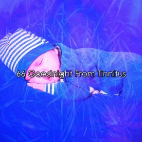 66 Goodnight From Tinnitus album cover