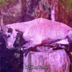 52 Dog Tired album cover