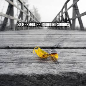 53 Massage Background Sounds album cover