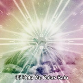 35 Help Me Relax Rain album cover