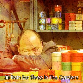 38 Rain For Sleep In The Gardens album cover