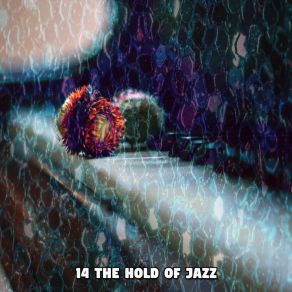 14 The Hold Of Jazz album cover