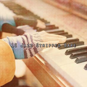 16 Jazz Stripped Bare album cover