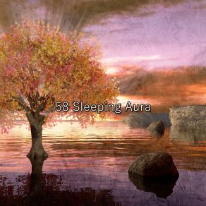 58 Sleeping Aura album cover