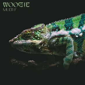 Multi F album cover