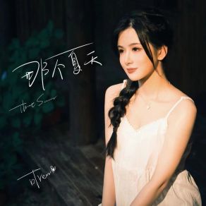 那个夏天 album cover