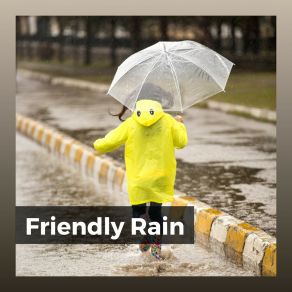 Friendly Rain album cover