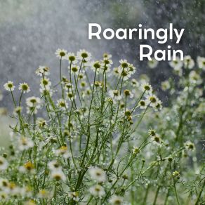 Roaringly Rain album cover