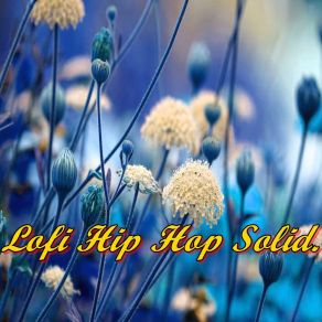 Lofi Hip Hop Solid album cover
