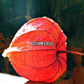 80 Exam Focus album cover