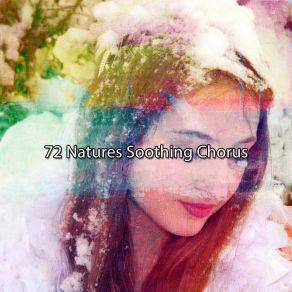 72 Natures Soothing Chorus album cover