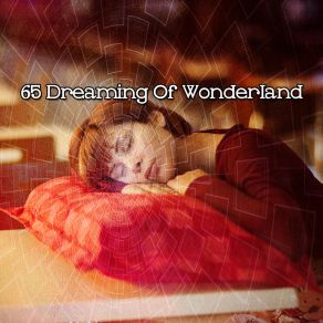 65 Dreaming Of Wonderland album cover