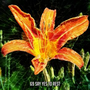 69 Say Yes To Rest album cover