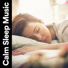 Calm Sleep Music album cover
