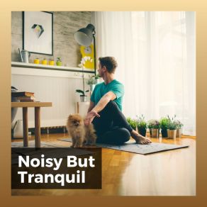 Noisy But Tranquil album cover