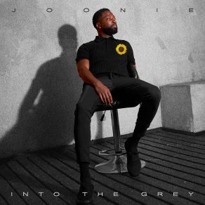 Into The Grey album cover
