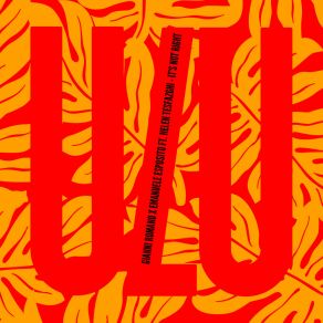 It's Not Right album cover