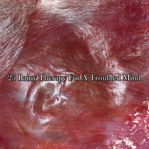 25 Rainy Therapy For A Troubled Mind album cover