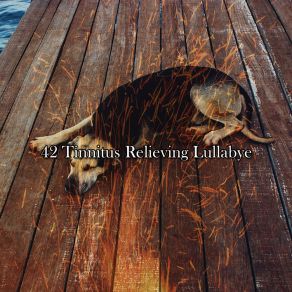 42 Tinnitus Relieving Lullabye album cover