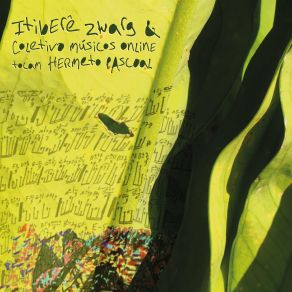 Tocam Hermeto Pascoal album cover