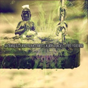 44 Tranquility And Enlightenment Calming Tracks To Free Your Mind album cover