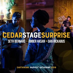 Cedar Stage Surprise album cover