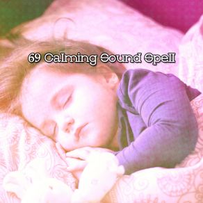 69 Calming Sound Spell album cover
