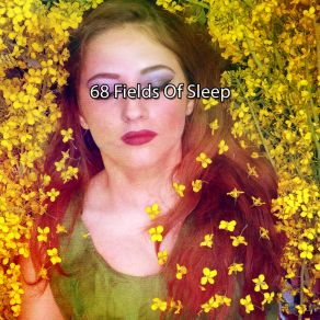 68 Fields Of Sle album cover