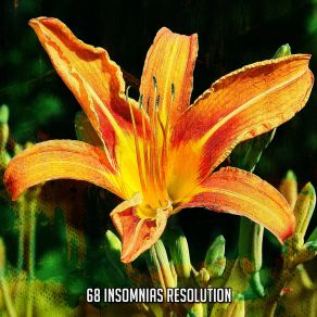 68 Insomnias Resolution album cover