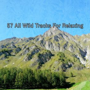 57 All Wild Tracks For Relaxing album cover