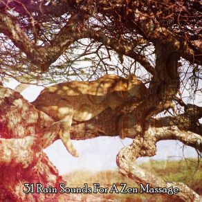 31 Rain Sounds For A Zen Massage album cover