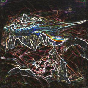 Osmotic Waltz album cover