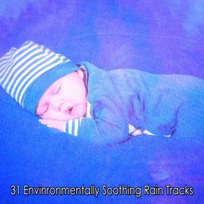 31 Envinronmentally Soothing Rain Tracks album cover