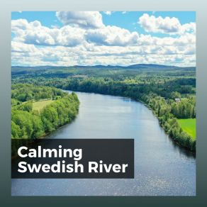 Calming Swedish River album cover