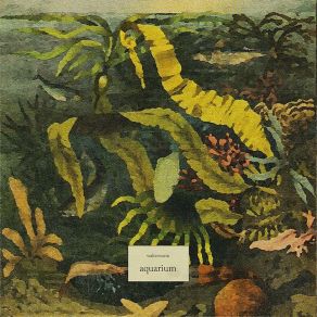 Aquarium album cover