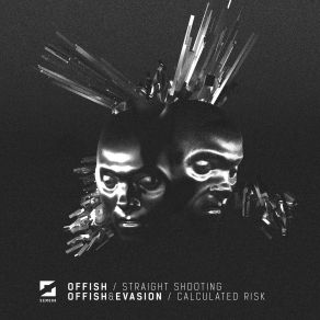 Straight Shooting / Calculated Risk album cover