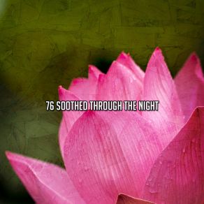 76 Soothed Through The Night album cover