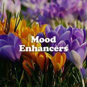Mood Enhancers album cover
