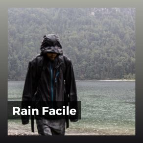 Rain Facile album cover