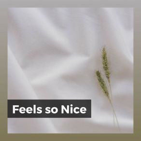 Feels So Nice album cover