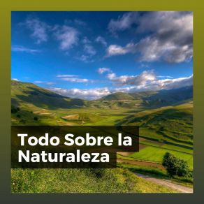 Todo Sobre La Naturaleza album cover