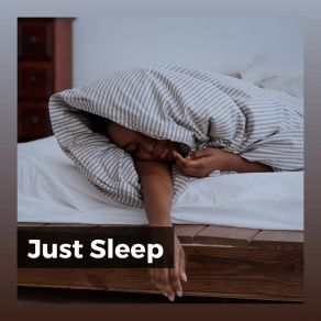 Just Sle album cover