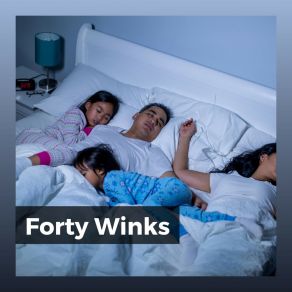 Forty Winks album cover