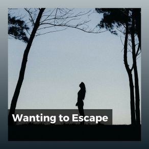Wanting To Escape album cover