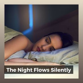 The Night Flows Silently album cover
