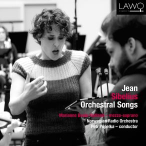 Sibelius: Orchestral Songs album cover