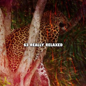 63 Really Relaxed album cover