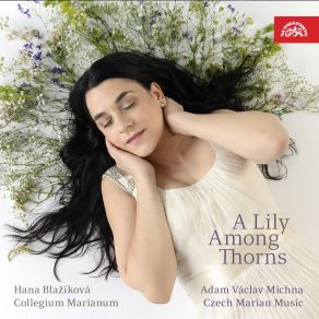 Michna: Czech Marian Music - Lilly Among Thorns album cover