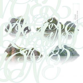 Angel Island Zone album cover