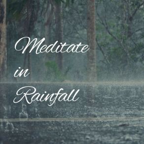 Meditate In Rainfall album cover